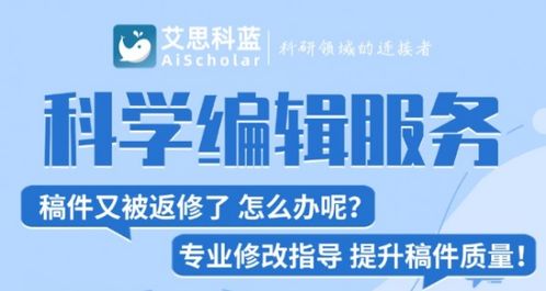 艾思編譯 一站式學術服務專家的卓越之旅