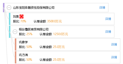 山東寶陽(yáng)非融資性擔(dān)保業(yè)務(wù)解析